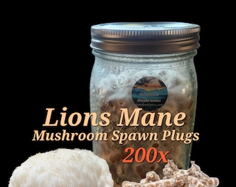 LIONS MANE Mushroom Spawn Plugs 200 ct