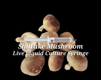 SHIITAKE Mushroom Commercial Grade Liquid Culture Mycelium Syringe, 10 ml