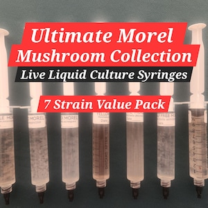 Ultimate Morel Mushroom Growers liquid culture mycelium collection- 7 different strains