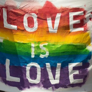 May include: A white banner with the words "LOVE IS LOVE" painted in white letters on a rainbow background. The rainbow is made up of six stripes: red, orange, yellow, green, blue, and purple.