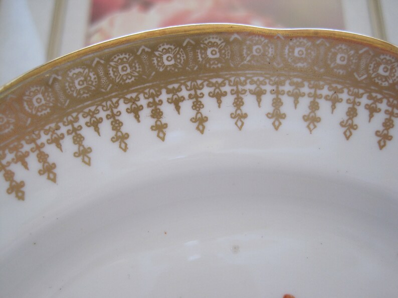 HAMMERSLEY Bone China Plates Free Shipping