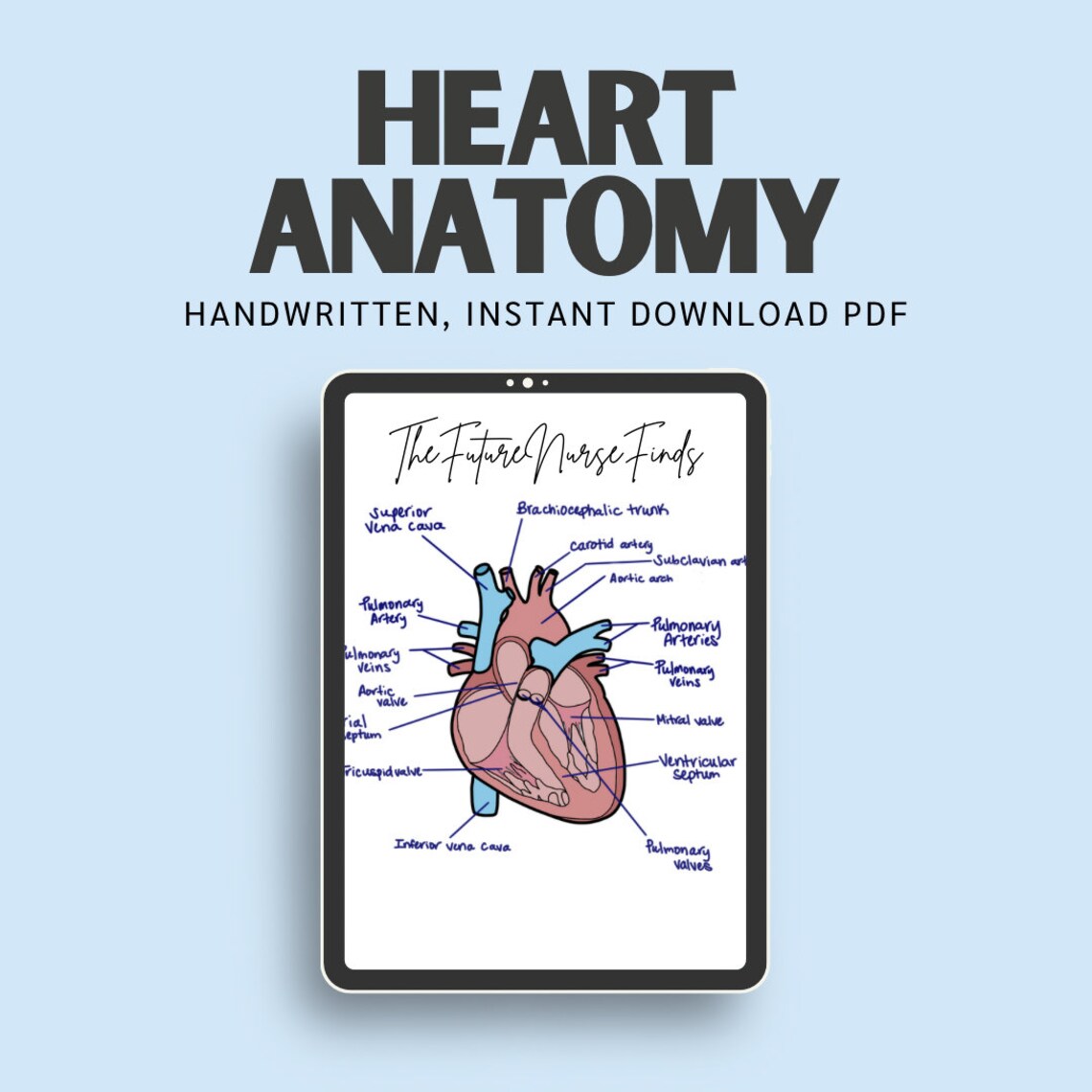 WRITE A SHORT NOTE ON HEART visual data 5