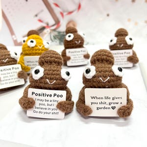 Cacca Positiva all'uncinetto: Regalo divertente per la salute mentale, citazione positiva, regalo scherzoso