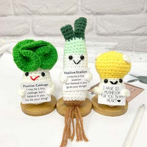 May include: Three crocheted plushies: a green cabbage, a white scallion, and a yellow mushroom. Each plush holds a sign with a positive message. The cabbage says "I may be a tiny cabbage, but I believe in you. Go do your thing!" The scallion says "I may be a tiny scallion, but I believe in you, go do your things!" The mushroom says "I have so... mushroom for you in my heart."