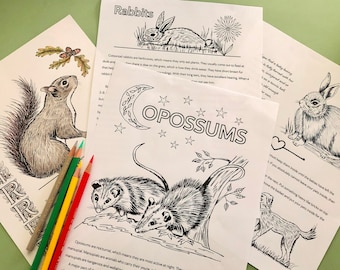 Wildlife and Nature Educational Coloring pages, 18 pages
