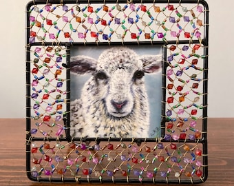 Mini sheep print in beaded metal frame, 5.5"x5.5"