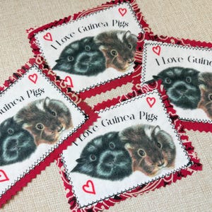 Meerschweinchen Patches, handgemacht, zum Aufbügeln