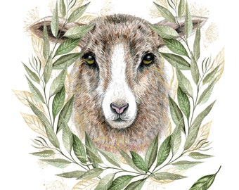 Sheep print of original colored pencil illustration, 8.5"x11" on fine art paper