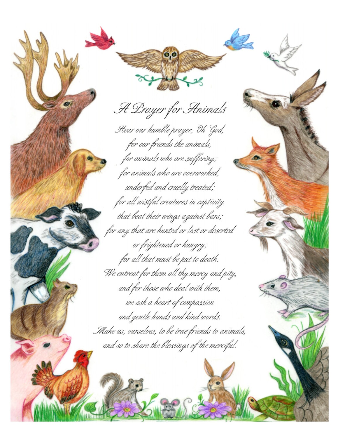 Prayer for Animals Illustrated With Animals in a Script Font - Etsy Prayer for Animals Illustrated With Animals in a Script Font - Etsy