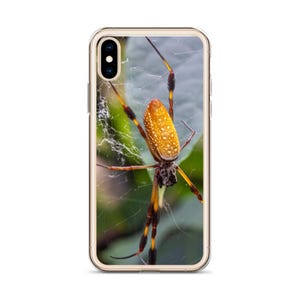 iPhone Case - Golden Orb Weaver