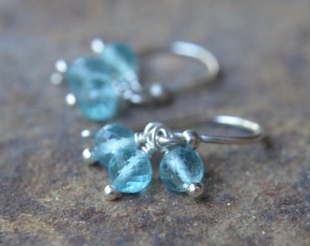Sea Blue Apatite Earrings Sterling Silver