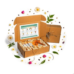 TeaDreamTea Herbal Tea Bag Sampler Gift Box – 8-Flavor Variety