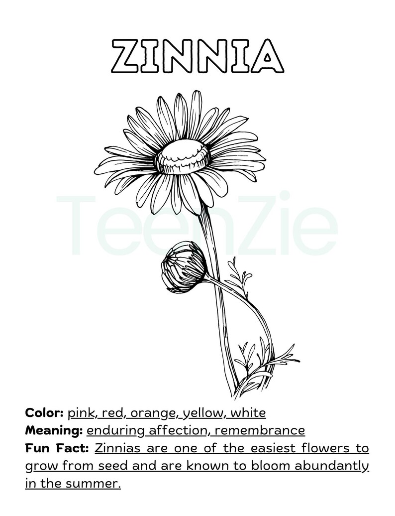 ABC Flower Coloring Book for Kids, Fun and Educational Flower Coloring