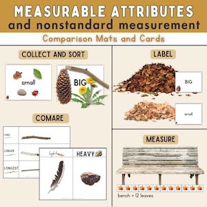 May include: A printable set of comparison mats and cards for teaching measurable attributes and nonstandard measurement. The mats and cards feature images of a pine cone, dandelion, leaves, sticks, a feather, a rock, and a bench. The text on the cards includes "small", "big", "long", "longer", "longest", "light", "heavy", and "bench = 12 leaves".