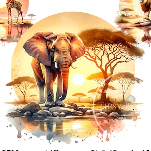 African Animals PNG Bundle, African Safari Animals Clipart, Elephant Shirt Design Sublimation File, Savannah Animals Clipart, Commercial Use