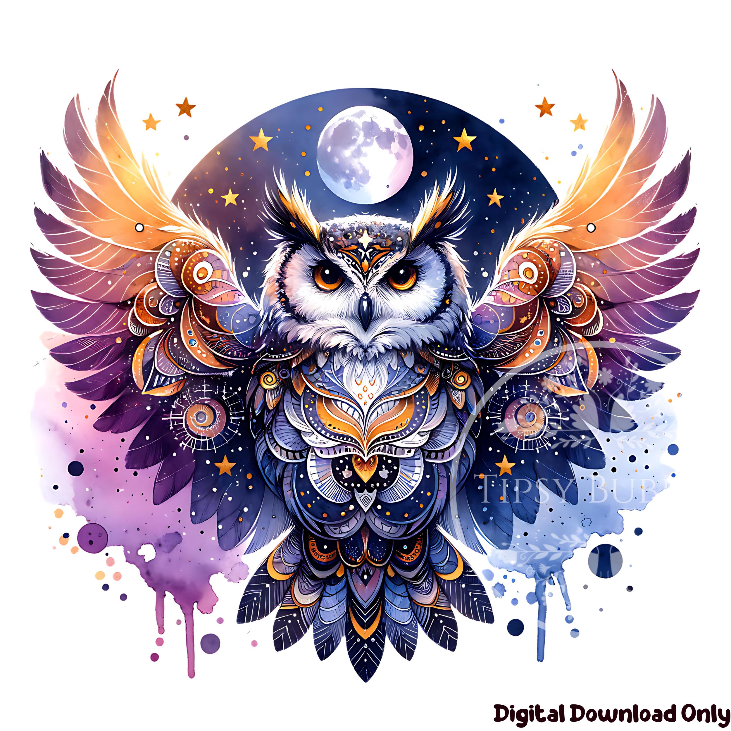 Celestial Owl PNG, Owl and Moon PNG, Cute Owl Shirt Design, Sublimation File, Celestial Moon Owl PNG