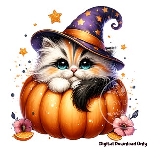 Halloween Cat Shirt Design, Cute Halloween Cat PNG, Pumpkin Cat PNG, Sublimation Designs Halloween Sublimation Files, Commercial Use Digital