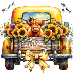 Sunflower Highland Cow PNG, Watercolor Sunflowers Clipart, Highland Cow and Flowers PNG, Sunflower Truck Clipart, Highland Cow Sublimation