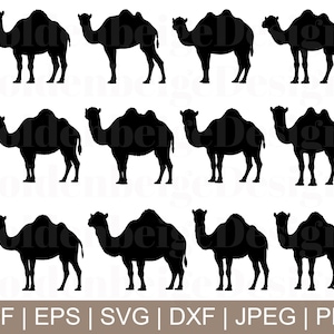 Camels Svg, Camels Vector, Camels Silhouette, Camels Cut File, Camels Cricut, Jpeg, Png