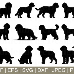 Labradoodle Dog Svg, Labradoodle Dogs Vector, Labradoodle Dogs Silhouette, Cut File, Jpeg, Png