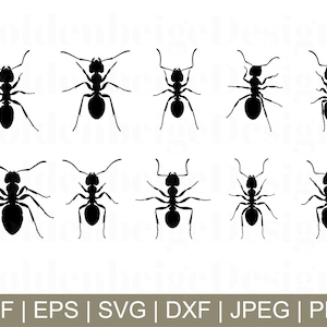 Ants Svg, Ants Silhouette, Ants Cut File, Ants Cricut, Ants Dxf, Jpeg, Png