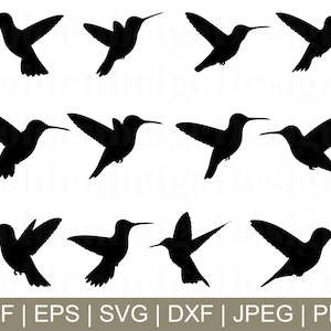 Hummingbird Svg, Hummingbird Vector, Hummingbird Silhouette, Hummingbird Cut File, Jpeg, Png