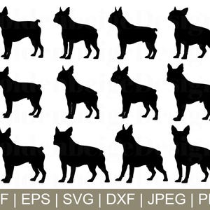 Boston Terrier Dog Svg, Boston Terrier Dog Vector, Terrier Breed, Dog Silhouette, Jpeg, Png