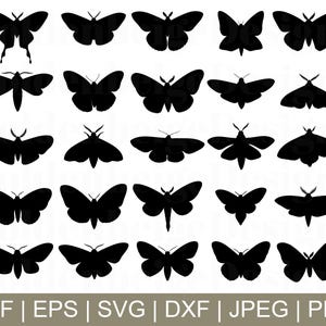 Moth Svg, Moth Vector, Moth Silhouette, Moth Cut File, Moth Cricut, jpeg, Png