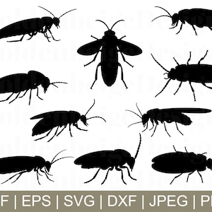 Firefly Svg, Firefly Silhouette, Firefly Cut File, Firefly Dxf, Insects Vector, Jpeg, Png