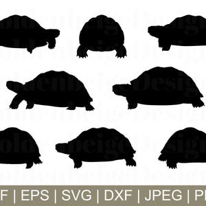 Tortoise Svg, Tortoise Cut File, Tortoise Silhouette, Tortoise Cricut, Tortoise Dxf, Jpeg, Png