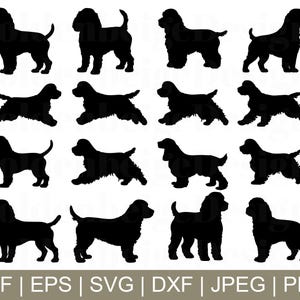 Cocker Spaniel Dogs Svg, Cocker Spaniel Vector, Cocker Spaniel Silhouette, Jpeg, Png