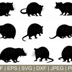 Possum Svg, Possum Silhouette, Possum Cut File, Possum Cricut, Possum Vector, Jpeg, Png