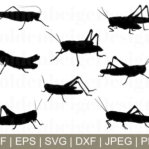Saltamontes Svg, Saltamontes Vector, Silueta Saltamontes, Saltamontes Cricut, Grillo, Dxf, Jpeg, Png
