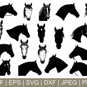 Horse Head Svg, Horse Head Cut File, Horse Head Silhouette, Horse Head Dxf, Jpeg, Png
