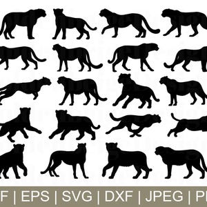 Cheetah Svg, Cheetah Vector, Cheetah Isolated, Cheetah Silhouette, Cheetah Cricut, Jpeg, Png
