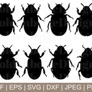 Beetle Svg, Beetle Vector, Beetle Isolated, Beetle Cricut, Beetle Cut File, Jpeg, Png
