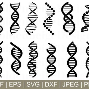 DNA Svg, Dna Silhouette, Dna Vector, DNA Cricut, DNA Dxf, Jpeg, Png