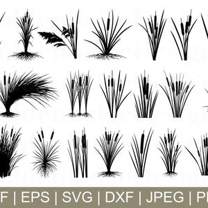 Rohrkolben SVG, Rohrkolben Vektor, Rohrkolben Silhouette, Rohrkolben Schnittdatei, Rohrkolben Dxf, Jpeg, Png