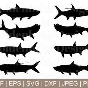 Tarpon Fish Svg, Tarpon Silhouette, Fishing Svg, Tarpon Dxf, Tarpon Png, Fisherman