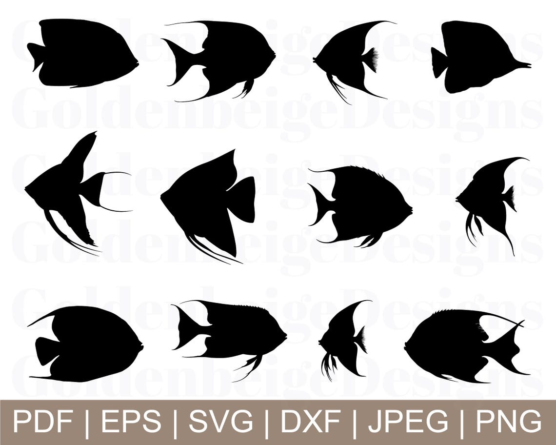 Angle Fish Svg, Angle Fish Vector, Angle Fish Silhouette, Angle Fish ...