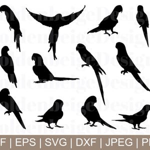 Parrots Svg, Parrots Silhouette, Parrots Vector, Parrots Cricut, Parrots Clipart, Parrots Cut File, Dxf, Png, Jpeg