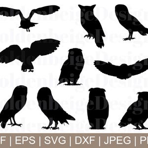 Owl Svg, Owl Silhouette Owl Bird Vector, Owl Cricut, Owl Clipart, Dxf, Jpeg, Png