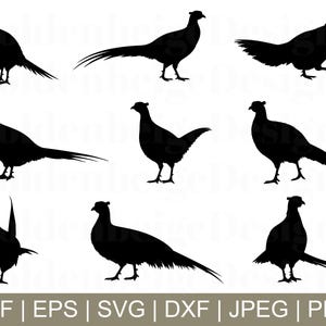 Pheasant Svg, Pheasant Cut File, Pheasant Silhouette, Pheasant Dxf, Jpeg, Png