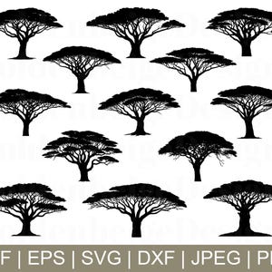 African tree Svg, African tree Cut File, African tree Silhouette, African Tree Cricut, Jpeg, Png