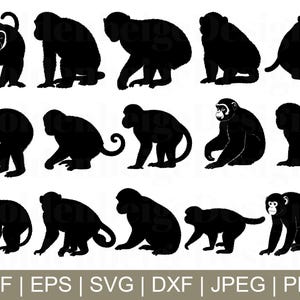 Monkey Svg, Monkey Cut File, Monkey Silhouette, Monkey Cricut, Dxf, Jpeg, Png