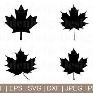 Ahornblatt SVG, Ahornblatt Vektor, Ahornblatt Silhouette, Ahornblatt Cricut, Jpeg, Png