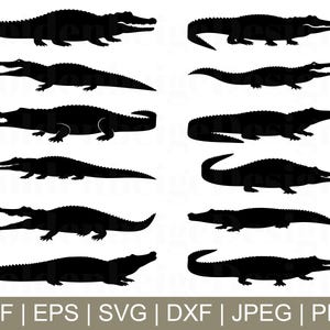 Krokodil SVG, Krokodil Vektor, Krokodil Silhouette, Krokodil geschnitten Datei, Jpeg, Png
