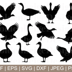 Canada Goose Svg, Canada Goose Vector, Canada Goose Silhouette, Goose Cricut, Jpeg, Png