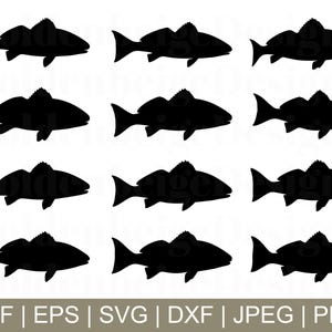 Red Drum Fish Svg, Red Drum Fish Silhouette, Red Drum Fish Vector, Red Drum Fishes Dxf, Jpeg, Png