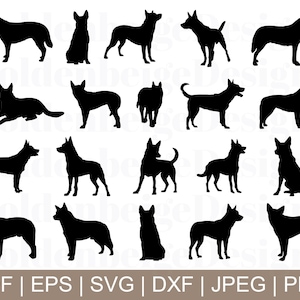 Australian Cattle Dog Svg, Australian Cattle Dog Vettore, Australian Cattle Dog Silhouette, Dxf, Jpeg, Png